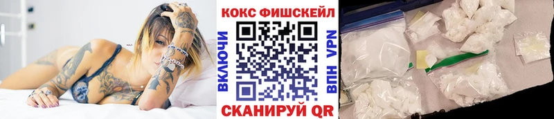 Купить закладки  Духовщина  COCAIN FishScale 