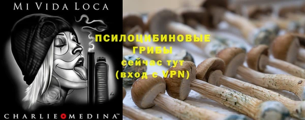 амф Белокуриха