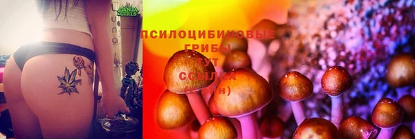 стафф Белоозёрский