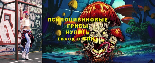 тгк Беломорск