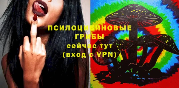 тгк Беломорск