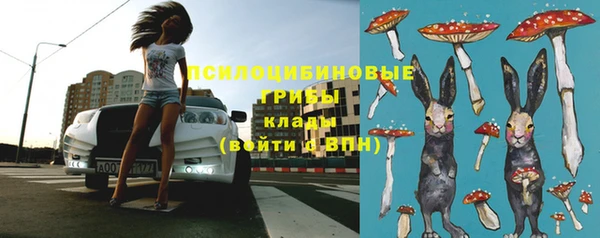 скорость Богданович