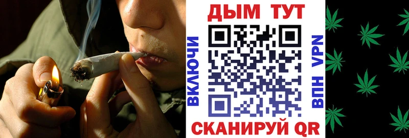 Купить  Духовщина  МАРИХУАНА сатива 